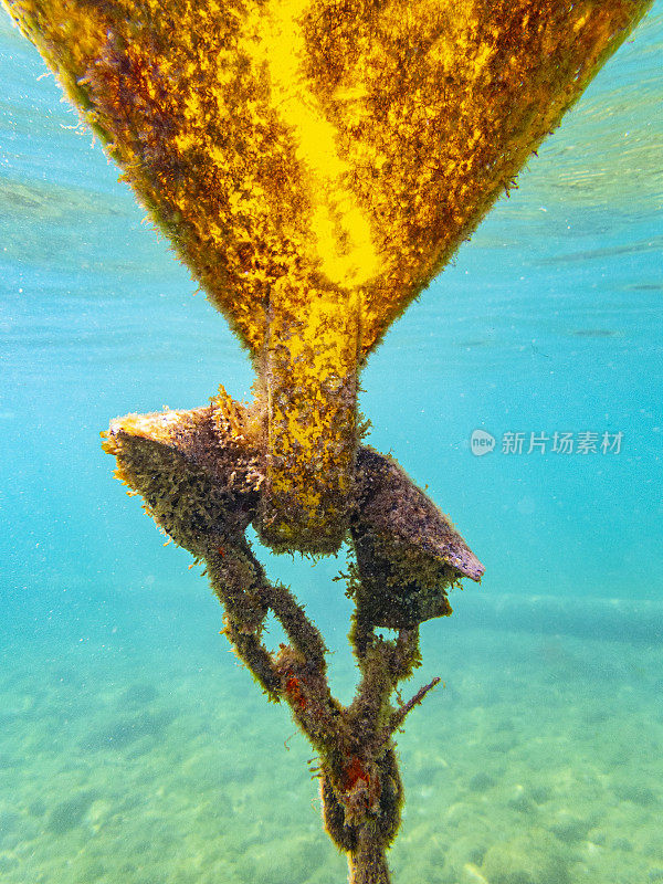 La Fosca海滩，Palamós。Costa Brava -黄色浮标水下景观